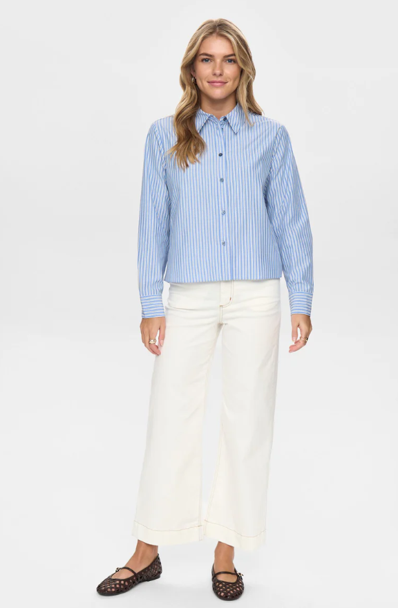 Camicia a righe azzurre