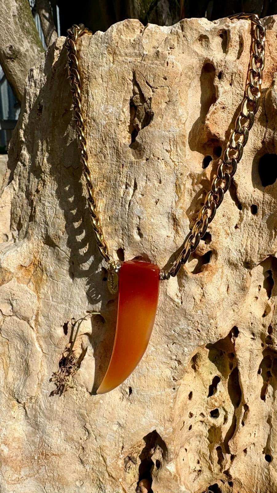Collana Zanna in Corniola e catena dorata